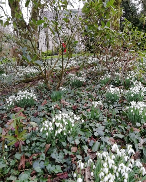 Billy Old Rectory Peace Garden